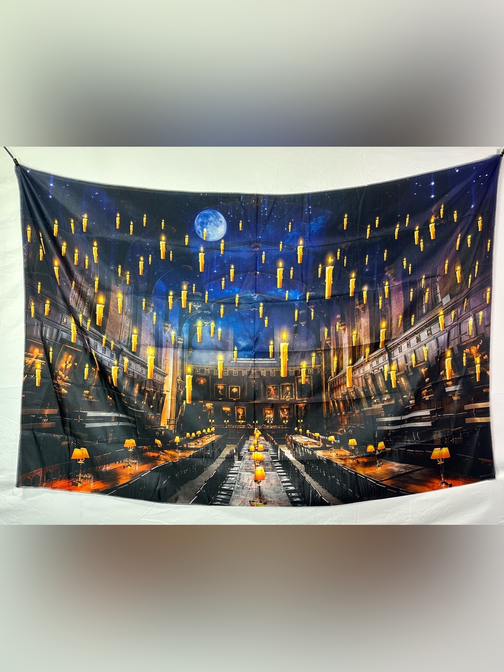 Magic Wizard Dining Hall Church Theme Backdrop Banner 68" x 45"